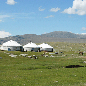 Yurt village Mongolia © Audrius Sutkus (unsplash.com)