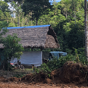 Settlement in the Amazon © Oliver Froer