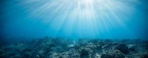 Dead ocean ground © Jeremy Bishop (pexels.com)